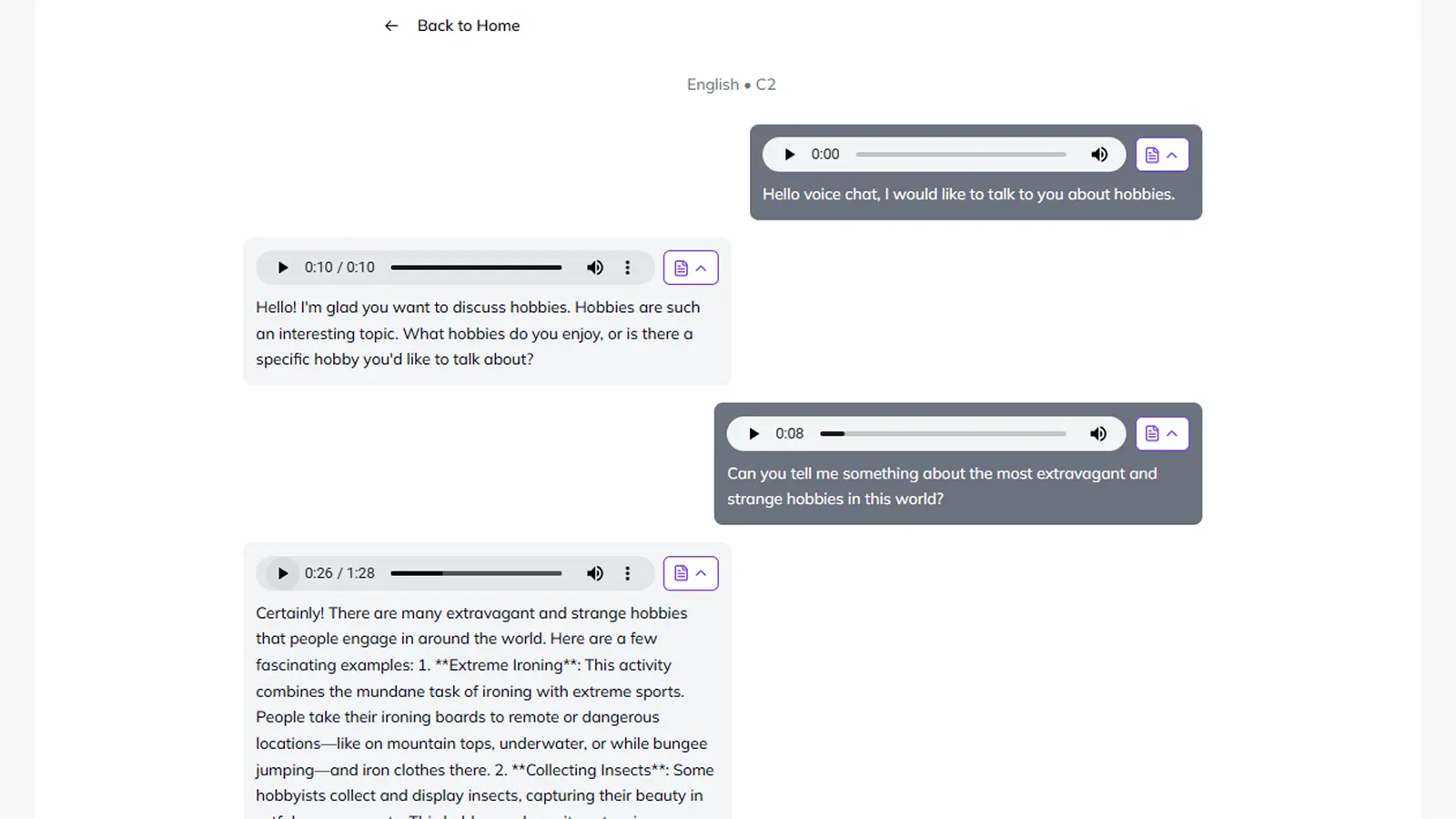 Skrivanek: AI-Powered Language Learning SaaS Platform visual 5